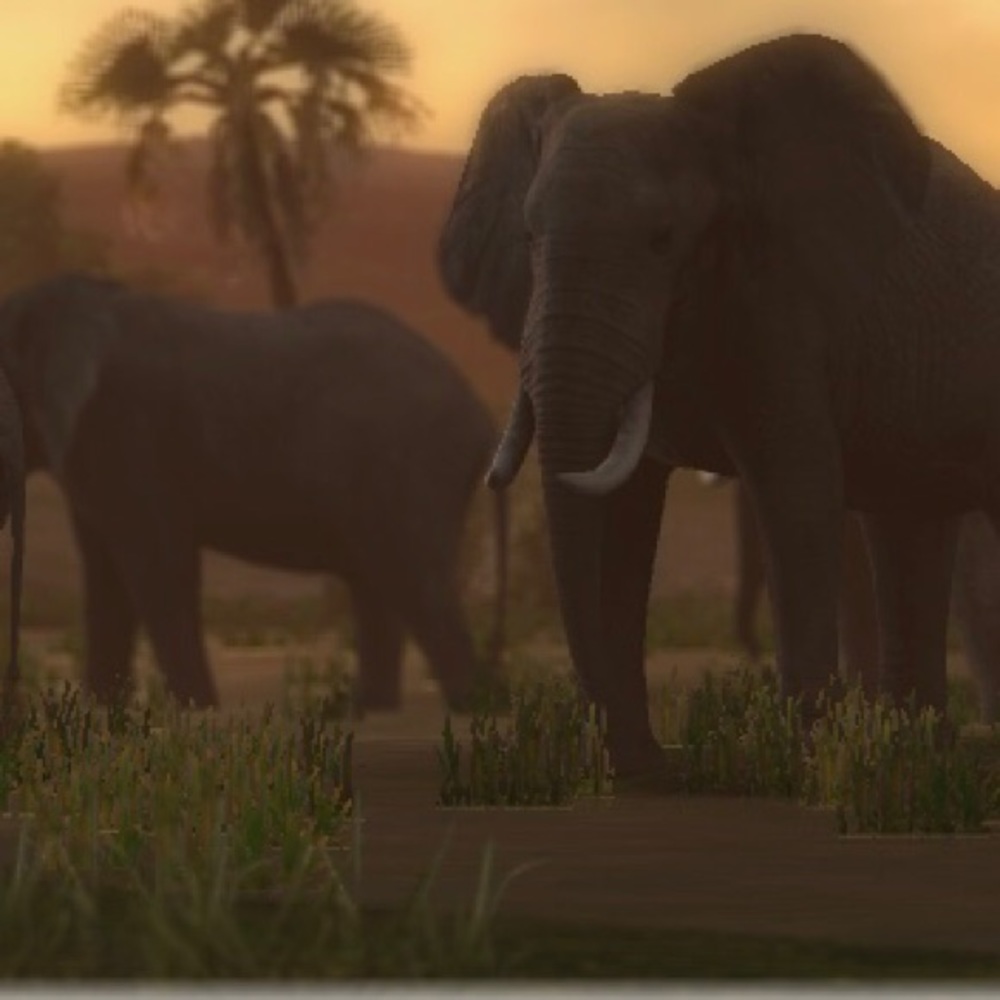 Meet your Posher, Connor